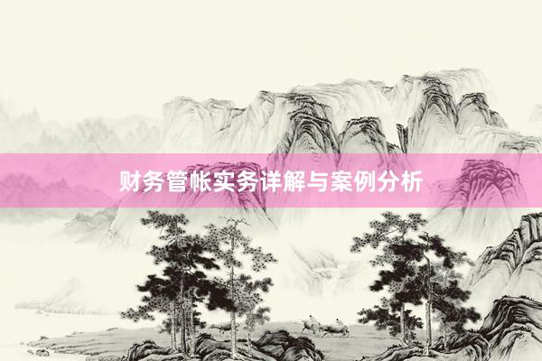 财务管帐实务详解与案例分析